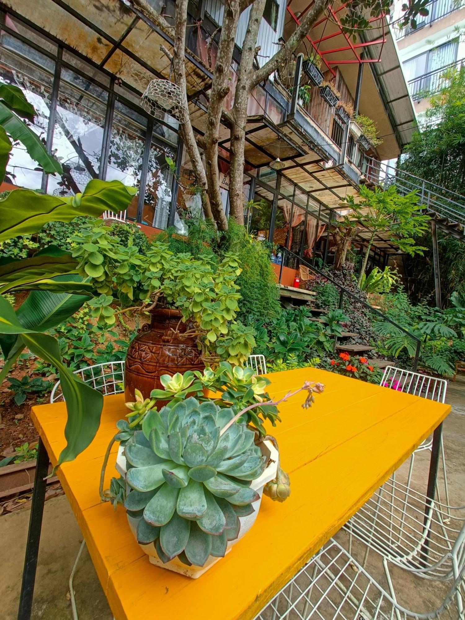 Lalaland Homestay Dalat Ruang foto