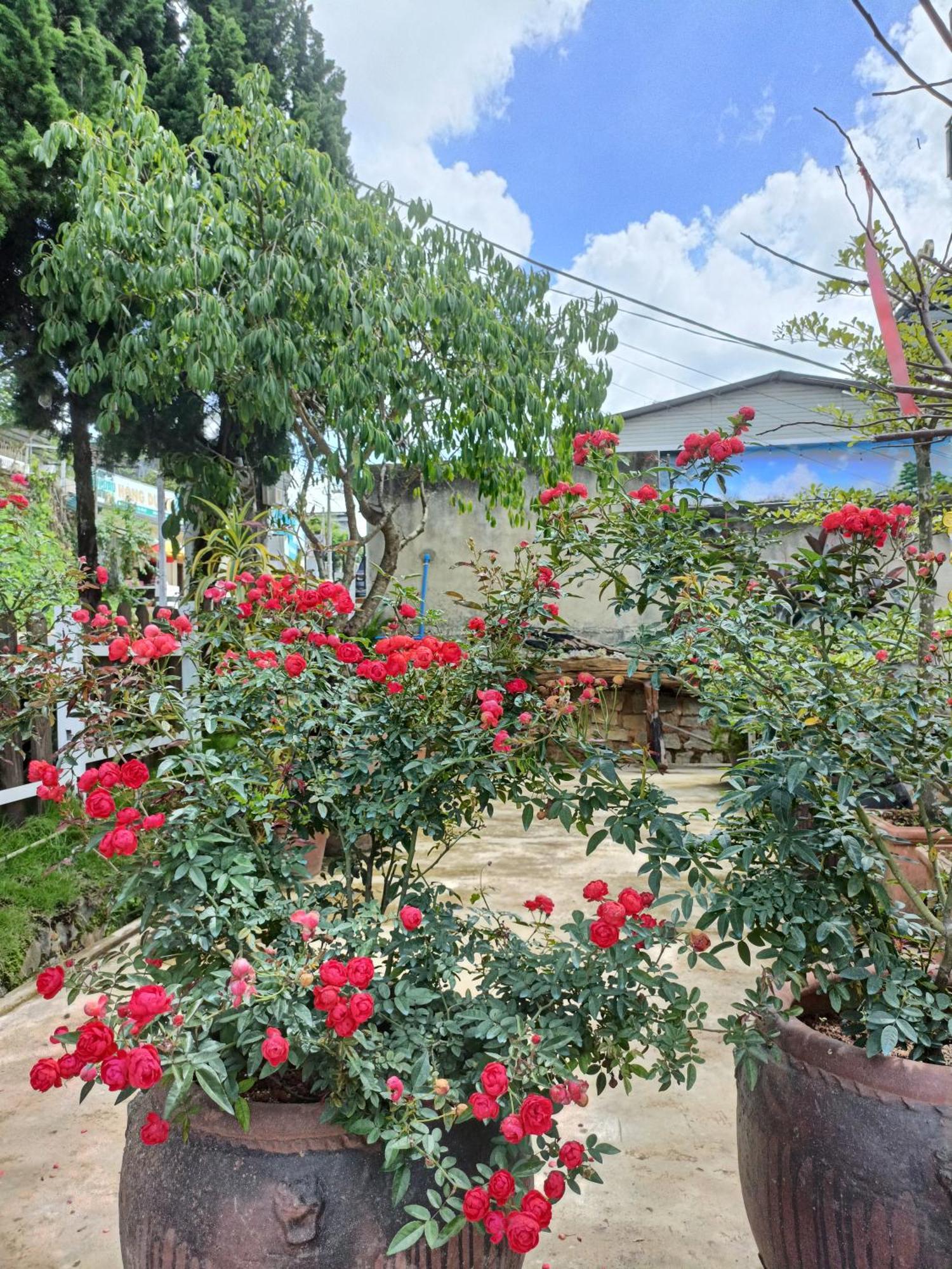Lalaland Homestay Dalat Bagian luar foto